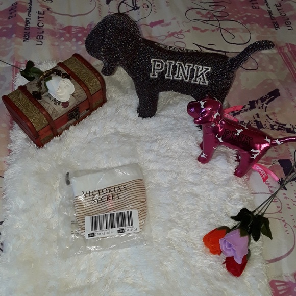 Size S/M PINK VS VICTORIAS SECRET Cheekster panty - Picture 5 of 5